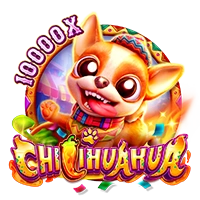 CHILIHUAHUA - ZONABET138