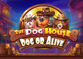 The Dog House - Dog or Alive - ZONABET138