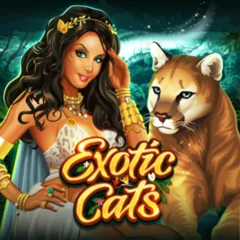 Exotic Cats - ZONABET138