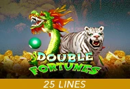 Double Fortunes - ZONABET138