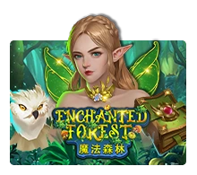 Enchanted Forest - ZONABET138
