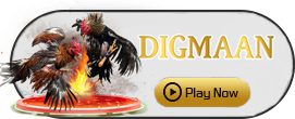 Digman - ZONABET138